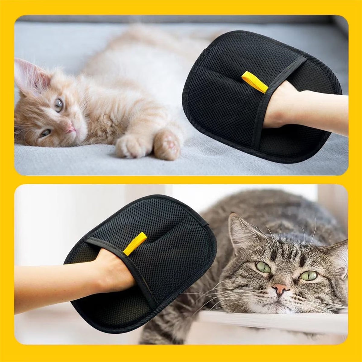 Double-Sided Grooming Glove for Dogs and Cats